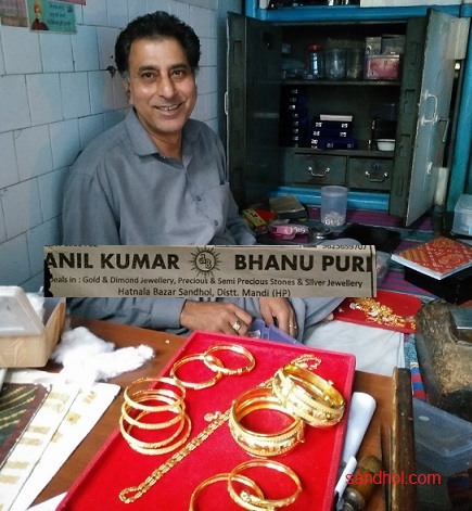 Anil Kumar Bhanu Puri